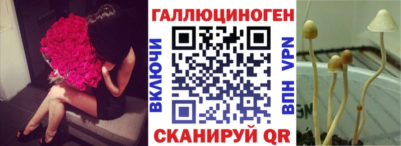 Псилоцибиновые грибы Psilocybine cubensis  Озёры 